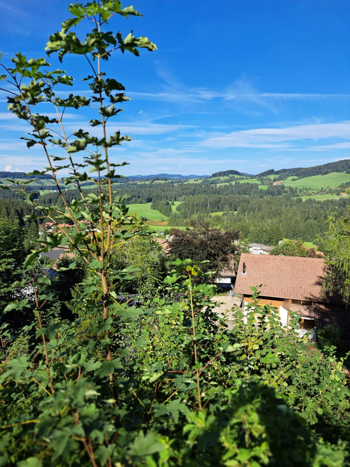 Ausblick von EFH in 88179 Oberreute